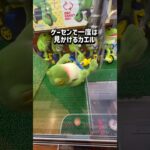 チャリ🐸と車🏎️クレゲの世界を発信中🌍チャンネル登録お願いします🙏 #クレーンゲーム #ゲームセンター #ufoキャッチャー #ゲーセン #クレゲ #攻略 #youtubeshorts