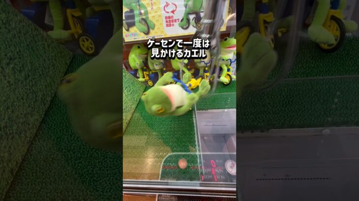 チャリ🐸と車🏎️クレゲの世界を発信中🌍チャンネル登録お願いします🙏 #クレーンゲーム #ゲームセンター #ufoキャッチャー #ゲーセン #クレゲ #攻略 #youtubeshorts