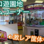 とあるレトロ遊園地のゲームコーナーに遊びに行ってきた(恵那峡ワンダーランド)