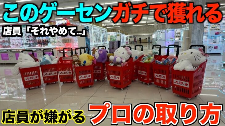 【クレーンゲーム】知らないとガチで損するプロの取り方！今までの取り方ではダメ！四国に新しくオープンするゲーセンが爆誕！全員ここ集合