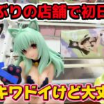 【クレーンゲーム】悩ましいほど魅力的な古手川唯＆ルンのフィギュアを初日攻略して開封したら色々とヤバかった！！