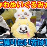 【クレーンゲーム】【倉庫系】#万代山梨 で行列に並んで #ちいかわ #ぬいぐるみ #でかつよ #あのこ を獲る!!  #カグラバチ #漆羽洋児 #座村清市 #エヴァンゲリオン #弐号機 #ラクス