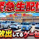 【シルバーウィーク初日】新潟で常に景品を出し続けていると噂のゲーセンで配信！！