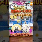 【ゲーセン】高額転売されているちいかわのぬいぐるみを確率機で取ろうとしたら、、(クレーンゲーム)