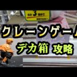 クレーンゲーム攻略【デカ箱編】やっぱりデカ箱は〇〇