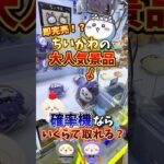 【ゲーセン】即完売したちいかわの大人気景品を確率機で挑戦したら、、(クレーンゲーム)