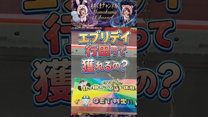 【エブリデイ行田】フック設定でオーザック攻略！いつもの手法は使えるのか！？【ももくま】 #フック設定 #クレーンゲーム #攻略