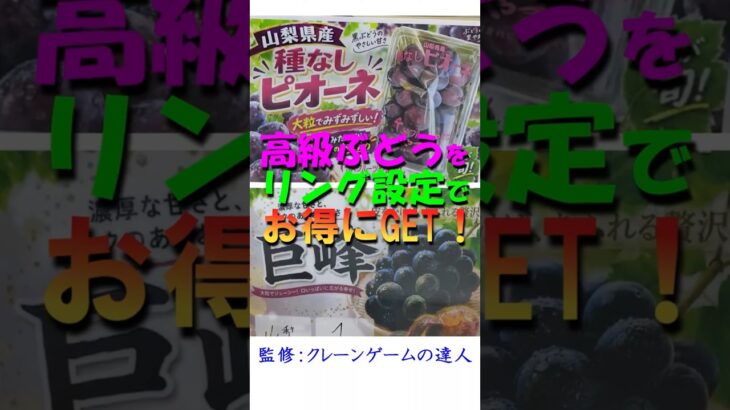 【ピオーネ・種無し巨峰　リング完全攻略ガイド】クレーンゲームの達人がわかりやすく解説❗今すぐお店で試して高級ぶどうをゲットしてね❗＊概要欄にも攻略方法を掲載してます♡ロケ地：もってきーな古河店、太田店
