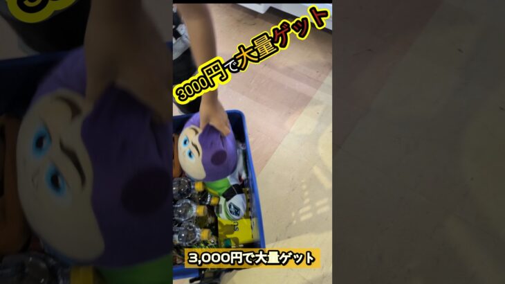 【検証】【乱獲】「取りやすい」と噂のゲームセンターで、本当に大量ゲットできた。