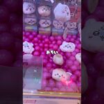 【人気景品】ちいかわベイビー狙ってみた