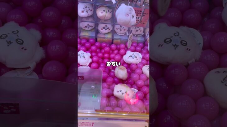 【人気景品】ちいかわベイビー狙ってみた