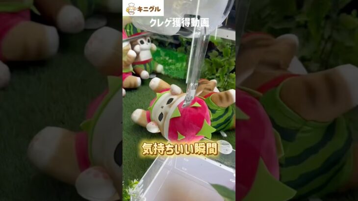 【クレゲ攻略】シールドに乗ったらここを狙え！お尻狙いのくるりんぱ獲得！