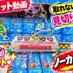 【ノーカット】取れないと思ったら見切りも必要！生活に役立つ商品＆娘へのプレゼントを狙う！【クレーンゲーム】