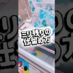 【クレーンゲーム】ミリ残りの仕留め方【攻略】