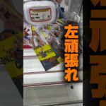 【クレーンゲーム】プライズフィギュア攻略！回して取るコツは反対側のアーム！？🔥