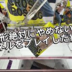【クレーンゲーム】この形絶対にやめないで‼️なエネルをプレイした結果【攻略】