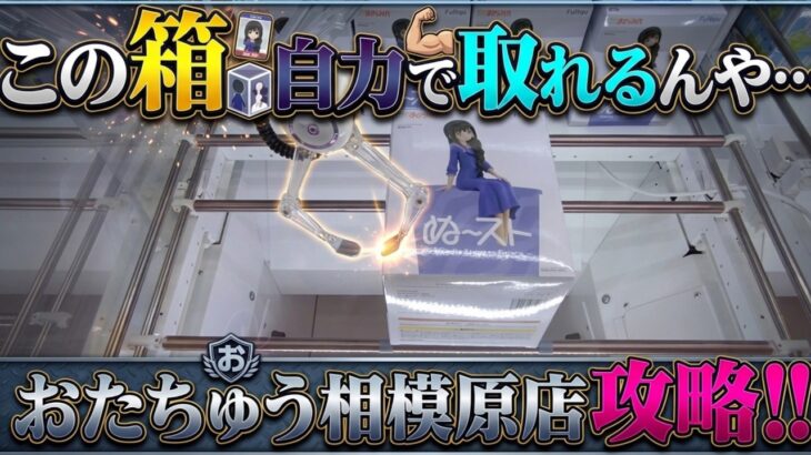 [クレーンゲーム] スライドよりも今は縦はめの時期！おたちゅう相模原店攻略!! [ユーフォーキャッチャー]