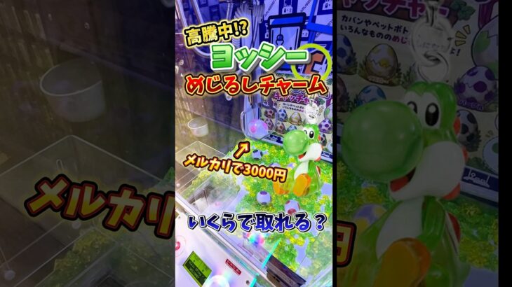 【ゲーセン】高騰中のヨッシーのめじるしアクセサリーがクレーンゲームに入ってたので挑戦してみた🔥