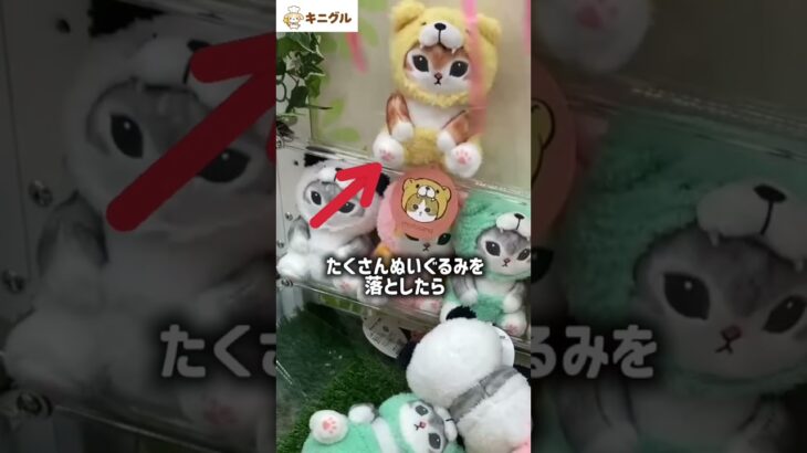 【クレゲ】マネ厳禁！ディスプレイを崩して獲るヤバい裏技…！？