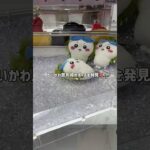 【人気景品】ちいかわ昆布締めポーチを見つけたからやってみたら…
