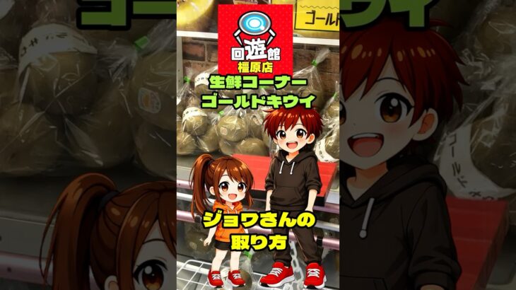 回遊館 橿原店【フック設定・クレーンゲーム】生鮮コーナー 「ゴールドキウイ」ジョワさんはこうやって取った！ #クレーンゲーム #ゲームセンター #フック #倉庫系ゲーセン #回遊館