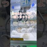 【ちいかわベビー】新プライズが出たよ♡