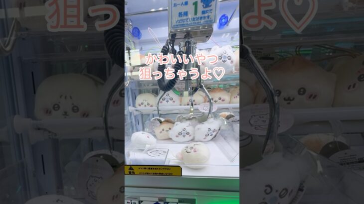 【ちいかわベビー】新プライズが出たよ♡