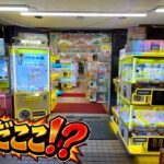 高額商品てんこ盛りの怪しいゲーセンで色々ヤバい物取ってみたw