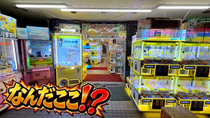 高額商品てんこ盛りの怪しいゲーセンで色々ヤバい物取ってみたw