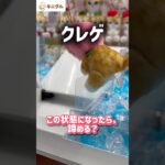 【クレーンゲーム】手が引っかかって落ちないぬいぐるみを力技で落とした結果ww