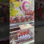 100円で取れたらすごいよね？ #クレーンゲーム #アミューズメント限定 #ゲームセンター #クレーンゲーム攻略 #ufoキャッチャー #ゲーセン