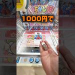 【クレーンゲーム】人気プライズフィギュアを1000円で何個取れる！？ハピピランド弘前店🔥