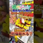 【ゲーセン】取れないと噂のモーリーファンタジーで、1000円使ったら景品何個取れるのか検証してみた🔥(クレーンゲーム)