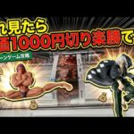 【クレーンゲーム】最新プライズを初日攻略！これ見て単価1000円切りを目指しましょう。