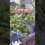 ゲーセンでよく見る「100円3回遊べる」クレーンゲームに挑んだ結果…