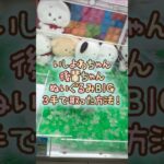 【クレーンゲーム】10/1 ラウンドワンでいしよわちゃんの後輩ちゃん登場ぬいぐるみBIGを3手で簡単に取る取り方のコツをお見せします！ #shorts