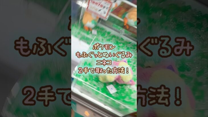 【クレーンゲーム】10/12 ラウンドワンでポケモンのもふぐっとぬいぐるみ エネコを2手で簡単に取る取り方のコツをお見せします！ #shorts