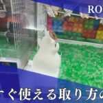 【クレーンゲーム】10/2 ラウンドワンでぬいぐるみを簡単に取る取り方のコツをお見せします！
