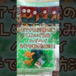 【クレーンゲーム】10/23 ラウンドワンでディズニーのモアナと伝説の海 Lぬいぐるみ ヘイヘイを2手で簡単に取る取り方のコツをお見せします！ #shorts