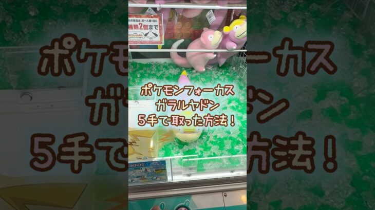 【クレーンゲーム】10/25 ラウンドワンでポケモンの地方別のすがた もふぐっとぬいぐるみ ガラルヤドンを5手で簡単に取る取り方のコツをお見せします！ #shorts