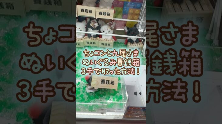 【クレーンゲーム】10/6 ラウンドワンでちょコンと九尾さまのぬいぐるみ賽銭箱を3手で簡単に取る取り方のコツをお見せします！ #shorts