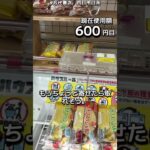 1日1000円しか使えないクレーンゲームの景品だけで生活234日目 #clawmachine #クレーンゲーム #フック設定 #ゲームセンター #ufoキャッチャー #ゲーセン