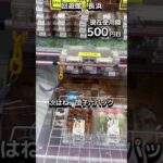 1日1000円しか使えないクレーンゲームの景品だけで生活236日目 #clawmachine #クレーンゲーム #フック設定 #ゲームセンター #ufoキャッチャー #ゲーセン