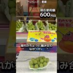 1日1000円しか使えないクレーンゲームの景品だけで生活237日目 #clawmachine #クレーンゲーム #フック設定 #ゲームセンター #ufoキャッチャー #ゲーセン