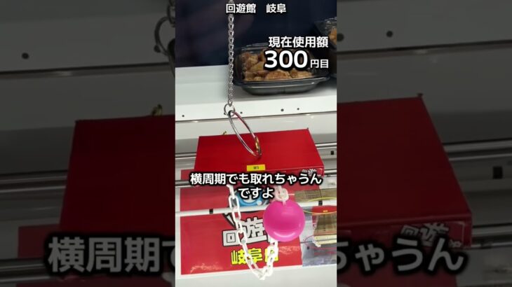 1日1000円しか使えないクレーンゲームの景品だけで生活239日目 #clawmachine #クレーンゲーム #フック設定 #ゲームセンター #ufoキャッチャー #ゲーセン