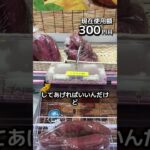 1日1000円しか使えないクレーンゲームの景品だけで生活244日目 #clawmachine #クレーンゲーム #フック設定 #ゲームセンター #ufoキャッチャー #ゲーセン