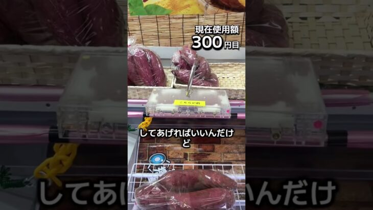 1日1000円しか使えないクレーンゲームの景品だけで生活244日目 #clawmachine #クレーンゲーム #フック設定 #ゲームセンター #ufoキャッチャー #ゲーセン