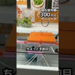 1日1000円しか使えないクレーンゲームの景品だけで生活246日目 #clawmachine #クレーンゲーム #フック設定 #ゲームセンター #ufoキャッチャー #ゲーセン