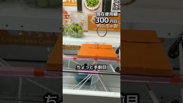 1日1000円しか使えないクレーンゲームの景品だけで生活246日目 #clawmachine #クレーンゲーム #フック設定 #ゲームセンター #ufoキャッチャー #ゲーセン