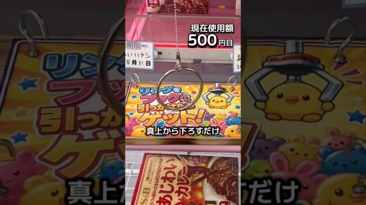 1日1000円しか使えないクレーンゲームの景品だけで生活252日目 #clawmachine #クレーンゲーム #フック設定 #ゲームセンター #ufoキャッチャー #ゲーセン